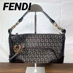 Fendi Black and Brown Women's Bag